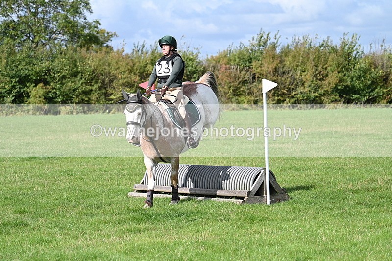 WJ7_8991 - Time 11:10 to 11:53