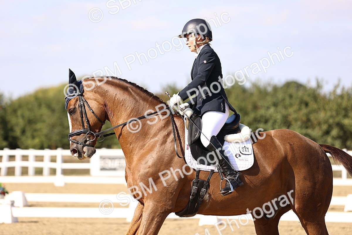 SBM_015252 - Class 8 - Medium 5