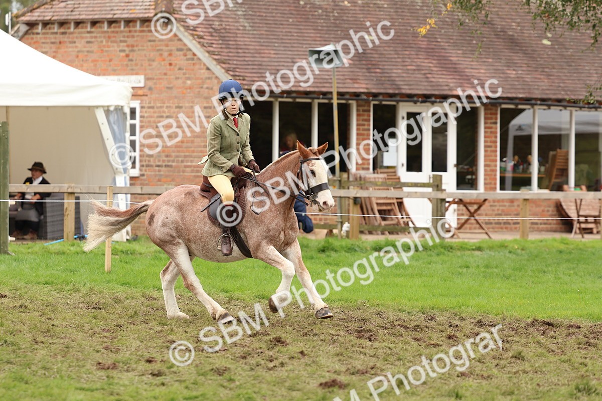 SBM_64628 - S58 - Coloured Pony Ridden