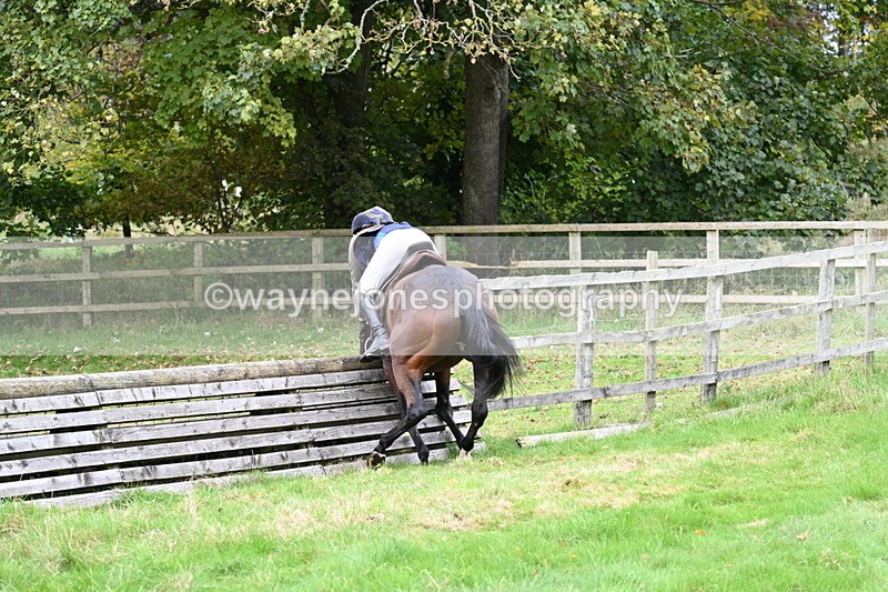 WJ7_4717 - Camera 1 Line 3