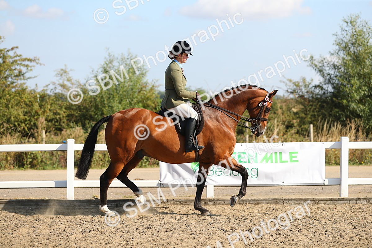 SBM_02189 - Class 43 Ridden Competition Horse/Pony