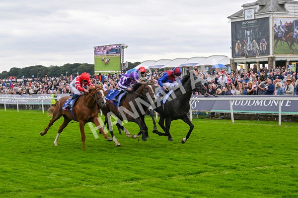 210824-Race 3-Los Angeles-4893 - Race 3 3.00pm Sky Bet Great Voltigeur Stakes