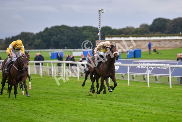 131023-Race 3-Apiarist-9409 - Race 3 3.15pm British EBF £100,000 Final