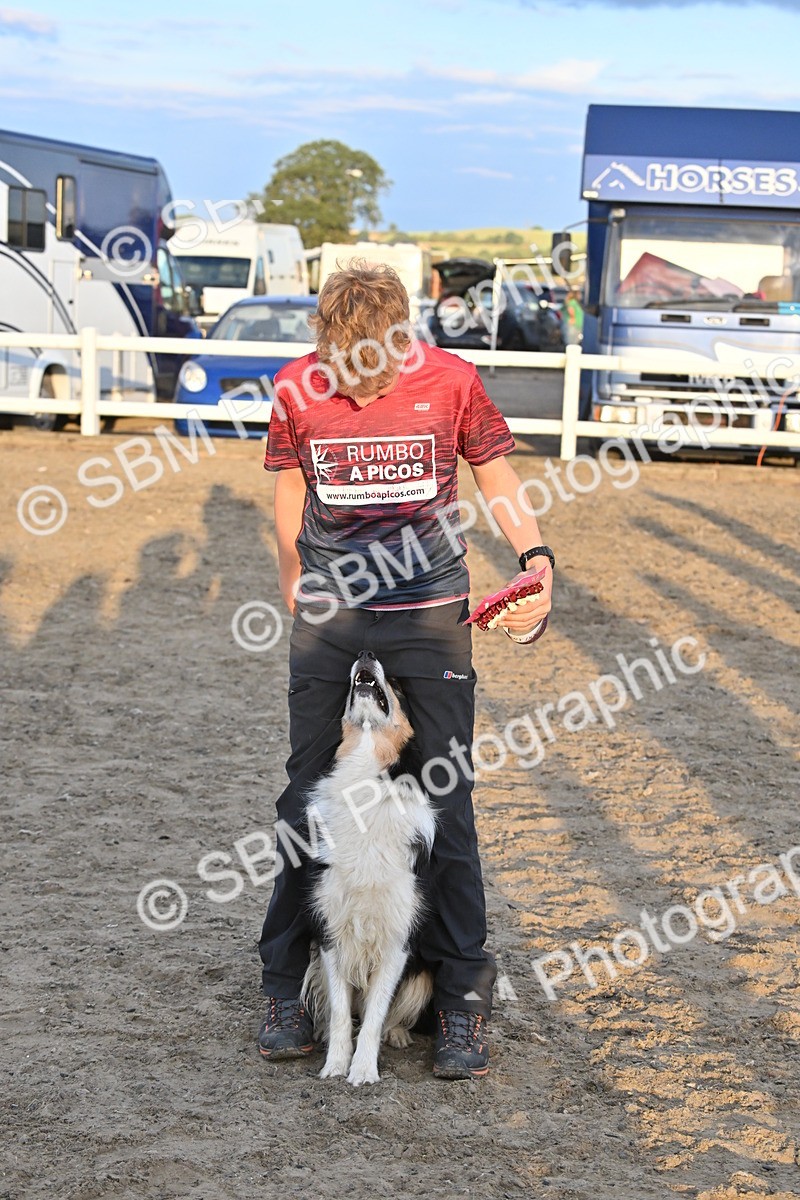 SBM_09720 - Lorry Dogs