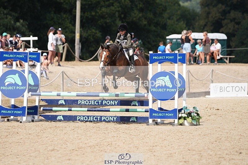 250824A-134047-37621 - 2147-George.Walford-meadow.sweet.conker