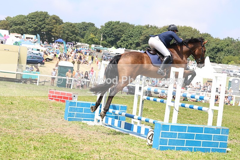 3E7A3397 - Class 10: Senior Foxhunter/1.20 open