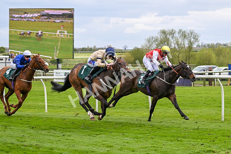 240424-Race 2-Restless Prince-7743 - Race 2