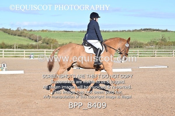 BPP_8409 - LONG ARENA PRELIM 5