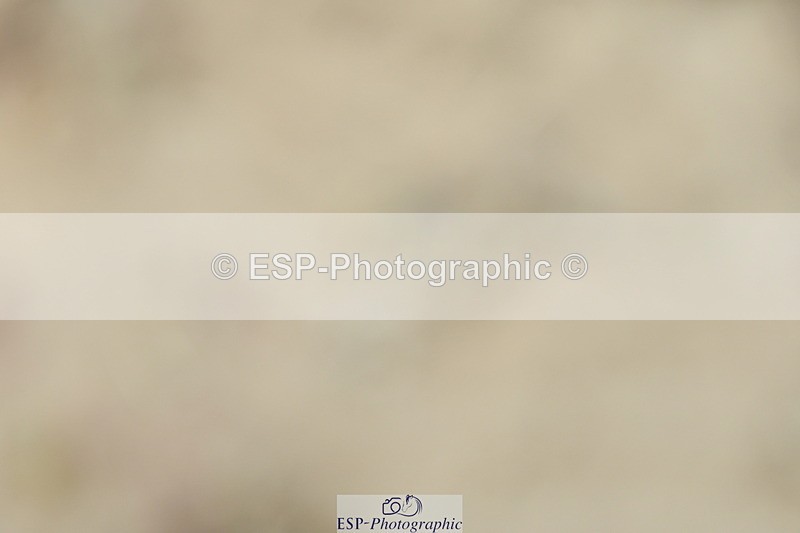 230701A-150800-07045 - Cls 17, 20, 11 + 21 Music PSG, Inter II, Advanced 101 + FEI GP