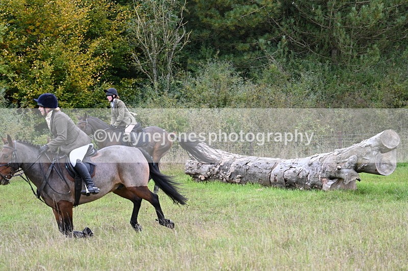 WJ7_3851 - Camera 1 Line 1