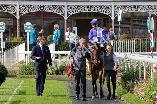 yr05092021r4-30 - Race 4 3.45pm Coopers Marquees British EBF Future Stayers' Novice Stakes