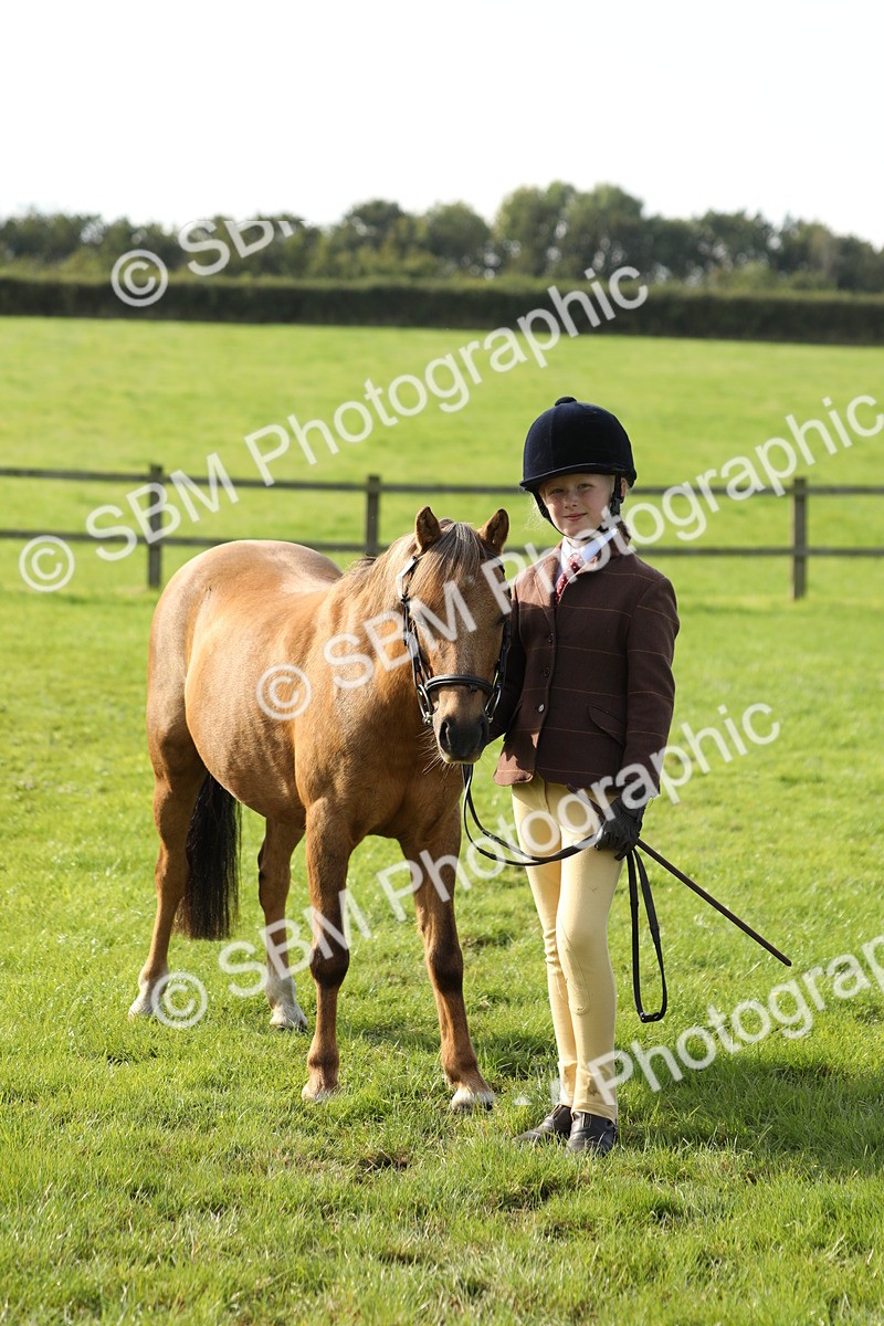 SBM_60984 - S43 - Coloured Pony In Hand