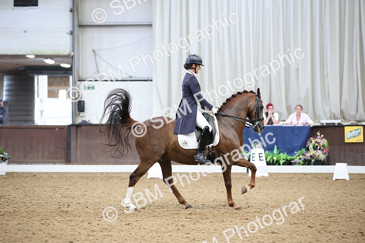 SBM_004852 - Class 9 - FEI Inter 1 Gold - 16.59-17.47