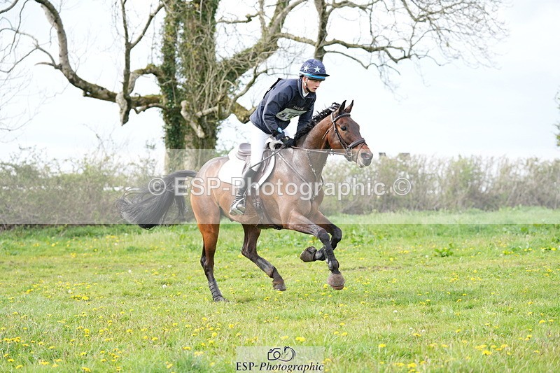 250419-170136-13658 - 855-Harry.Horton-STONEPARK.METRO