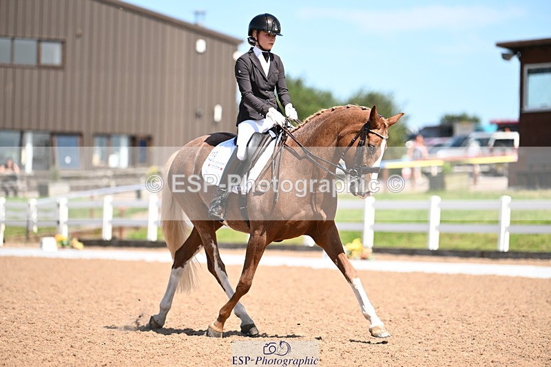 240816A-131727-05021 - 113-Ruby.Gumbley-Nova's.Golden.Dream