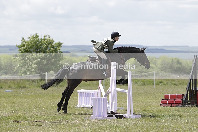 BVHT 140517 N-244 - Class 2 SJ Novice 14/05/17