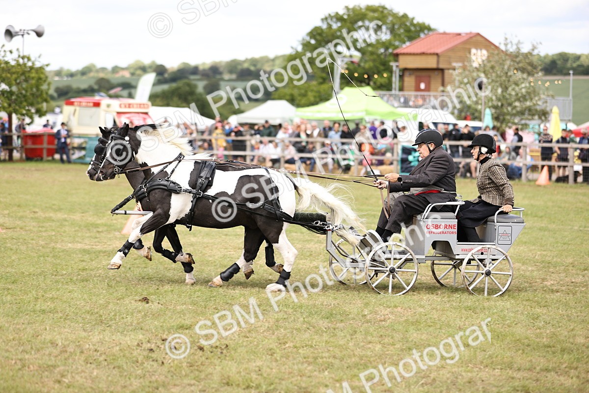 SBM_16085 - Class 91 - Scurry  exceeding 122cms