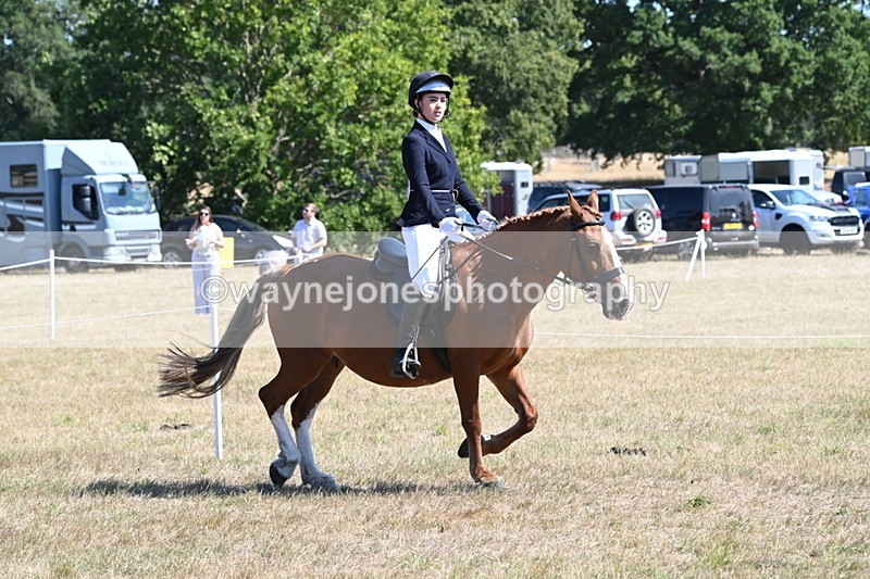 WJ6_8341 - Class 37a Best Loan Pony Ridden