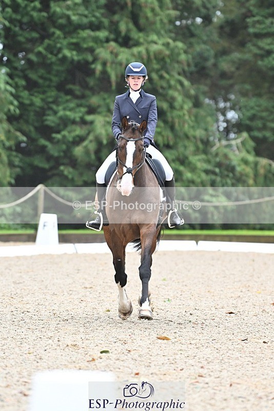 231019-104638-01964 - 103-BEECH.HILL.KIKO.CLOVER-Harriet.Blair-DR