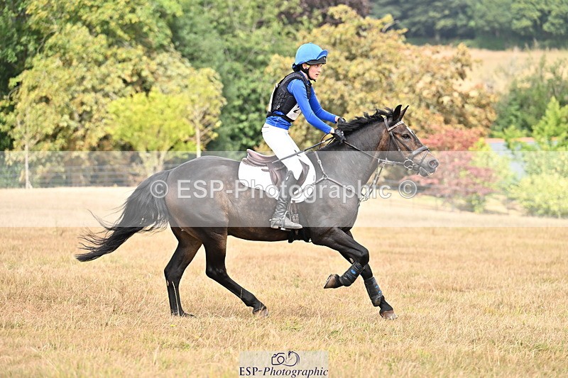 250824A-125539-36186 - 2053-Ava.Sampson-Chameleon