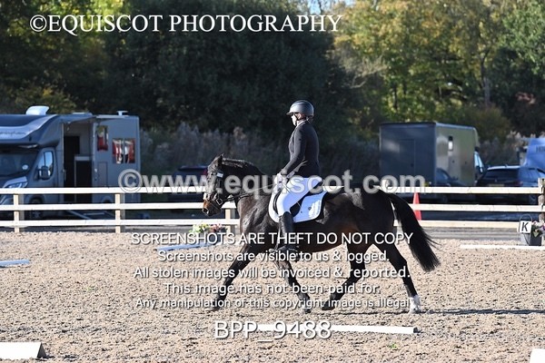 BPP_9488 - SHORT ARENA