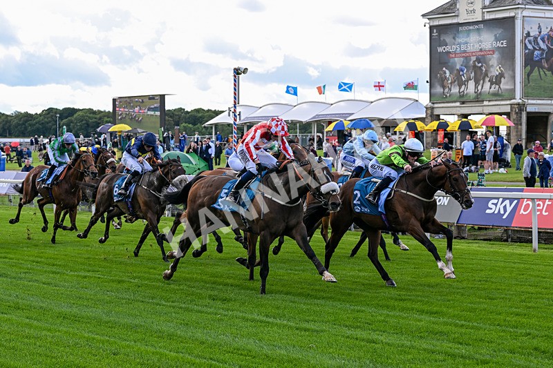 120626-Race 1-Our Havana-6617 - Race 1 13.50pm Andy Thornton Hospitality Furniture Apprentice Handicap