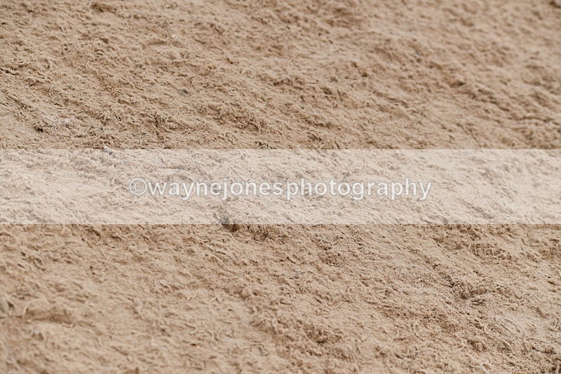 WJ5_6451 - 60cm