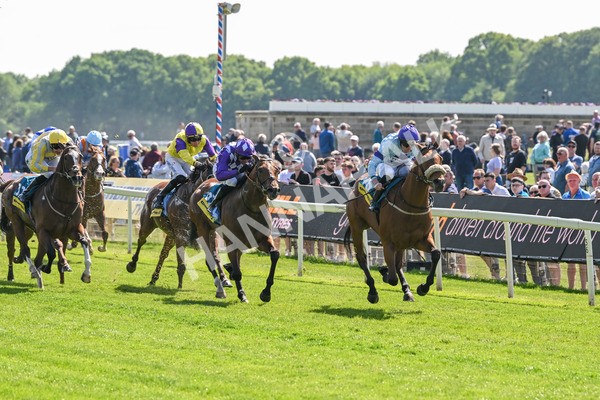 140525-Race 2-Rousing Encore-1795 - Race 2 2.42pm Churchill Tyres Handicap
