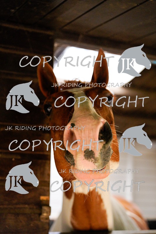 _DSC4048 - General Photos of the week!