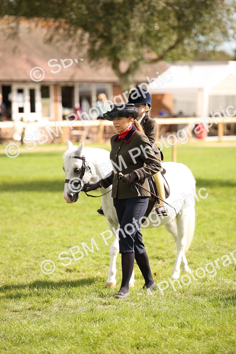 SBM_49985 - S26 - Young Veteran - Ridden