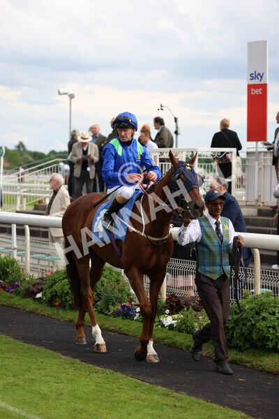 yr22052022r6-7 - Race 6: 6:05pm Sky Bet Sunday Series Stayers Stakes