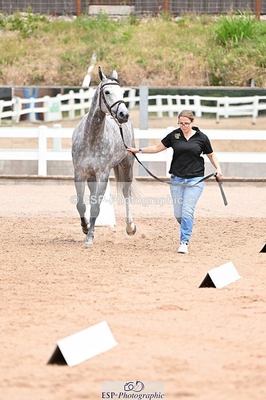 250716-142157-01037 - Trot Up 1.30 to 2.30