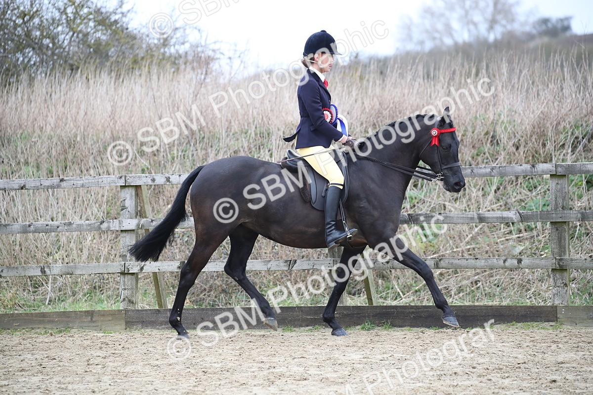 SBM_004814 - Class 5-9 - NPS In Hand-Show Hunter-Intermediate Ridden Inc Ridden Championship