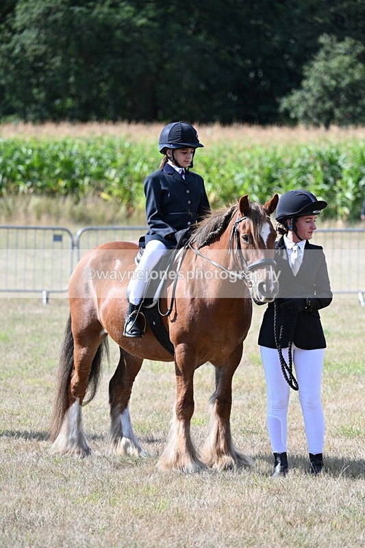 WJ7_2723 - Class 8 Ridden Tack & Turnout