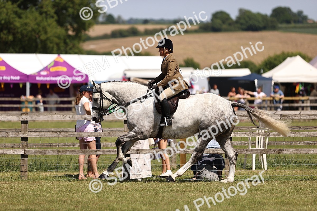 SBM_17748 - Class 81-83 - TSR Ridden Amateur of the Year - Horses