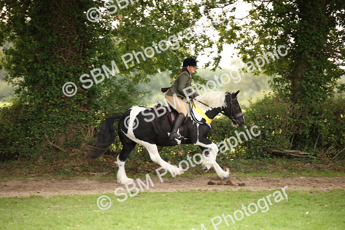 SBM_73661 - Ridden Horse Supreme Championship