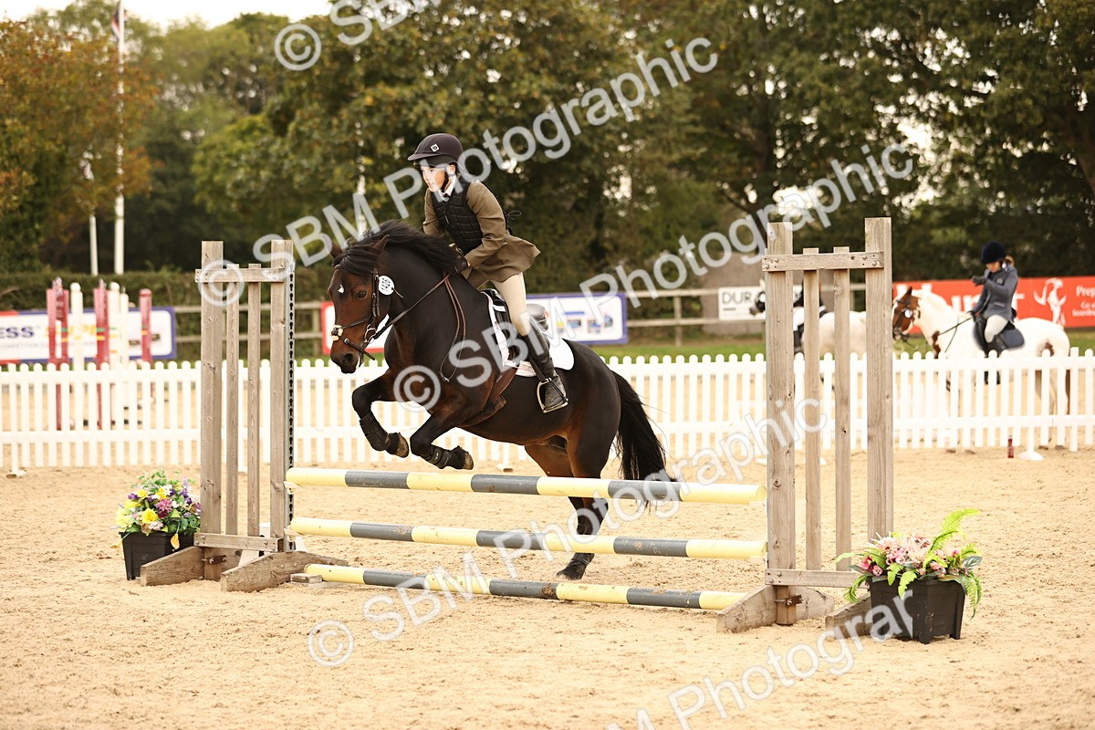 SBM_74204 - J14 - Junior Pony 65cm Championship
