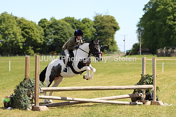 IMG_3799 - Working Hunter