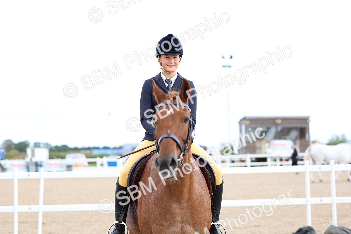 SBM_10092 - Class 304 - Ridden Part Bred Horse Pony