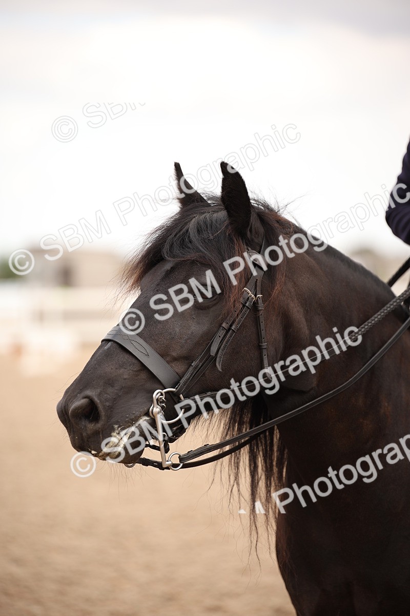 SBM_05396 - Class 22 SSA Equitation