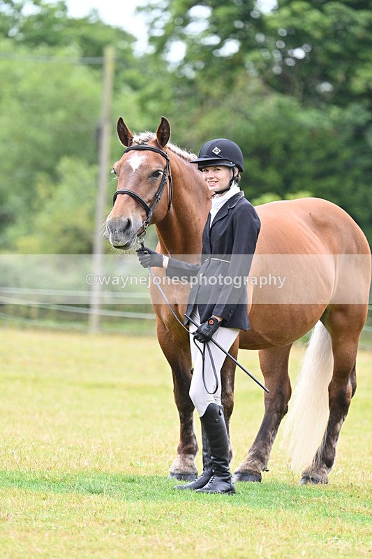 WJ7_6362 - Class 4a Prettiest Mare over 14hh