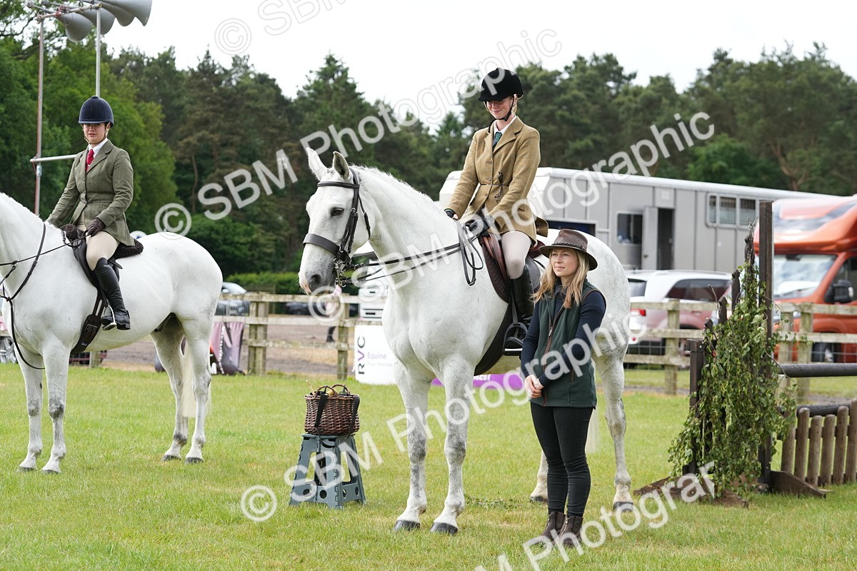SBM_12777 - Class 97-98 - LIHS BSHA Rising Star Working Show Horse Hunter