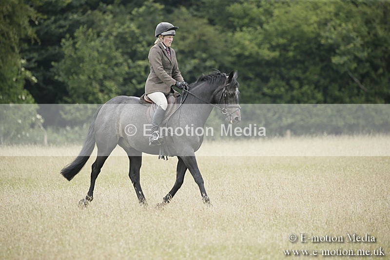B230619-0663 - Bourne Valley Riding Club Summer Show 23/06/19
