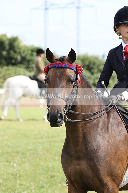 JPP_0945 - Class 16: Cornish Combination Young Rider