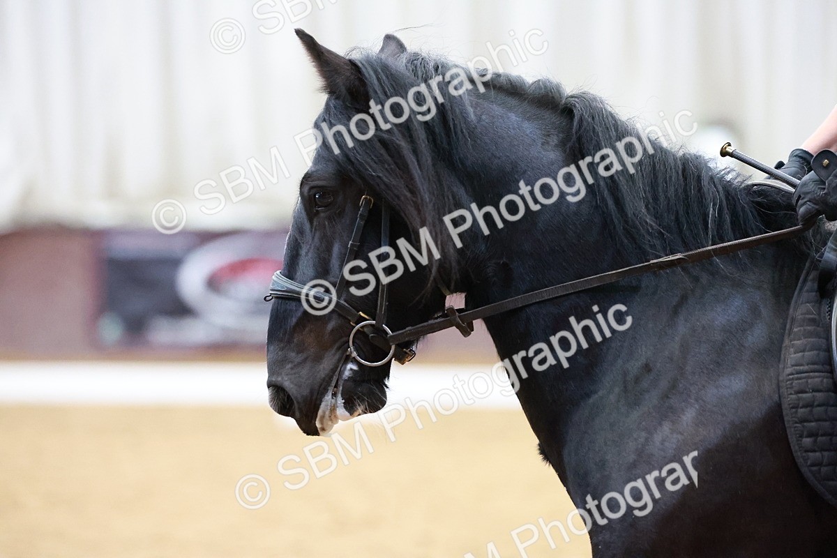 1I0A0798 - Class 3-6 - Prelim 1-Novice 2