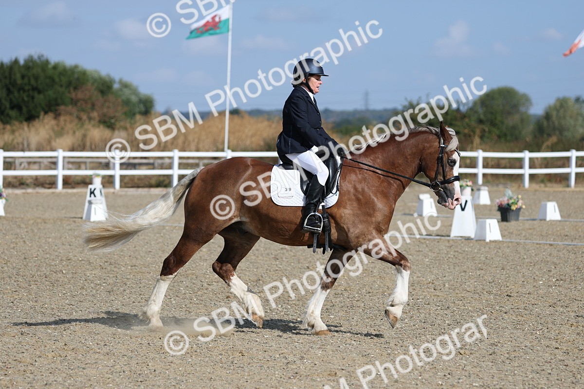 SBM_020241 - Class 21 - M5 Bronze 9.30.10.34