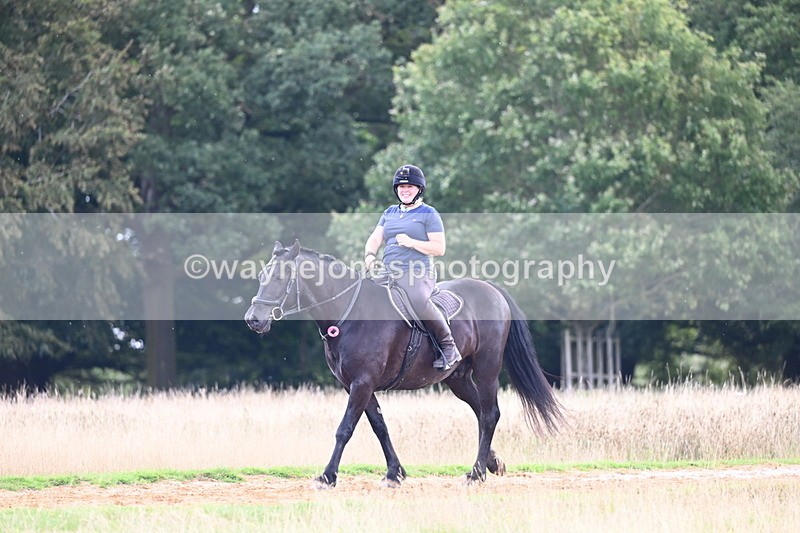 DSC_4166 - Time at Statue 09:50 to 11:09