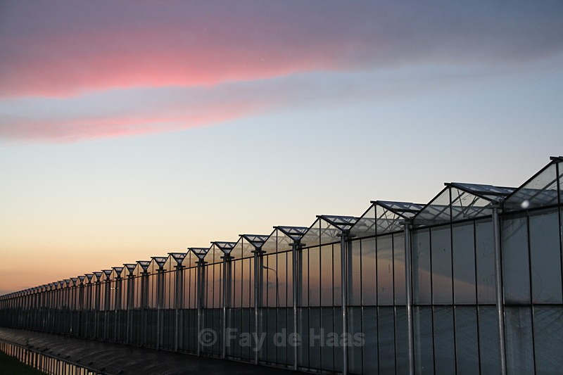  - Home in the Polder