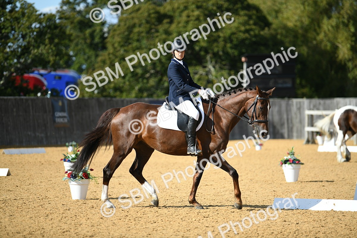 SBM_27064 - D16 - Small Tour Championship - Novice 28