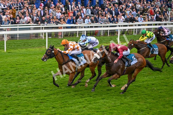 130724-Race 7-Ray Vonn-7917 - Race 7 5.25pm John Smith's Sprint Handicap